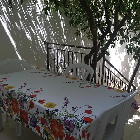 La Casa Degli Agrumi *